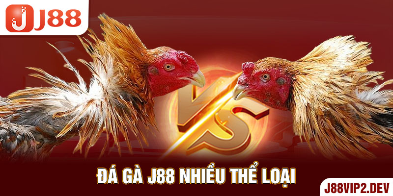 Đá gà J88 nhiều thể loại