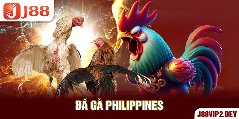 Đá gà Philippines trên J88